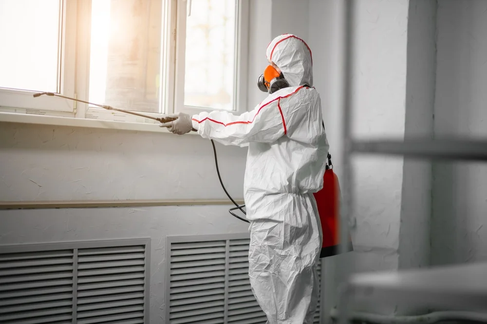 Professional mold remediation services in Bluffton, IN